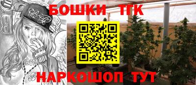 винт Будённовск