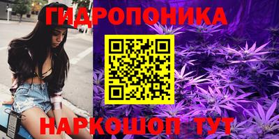 винт Будённовск