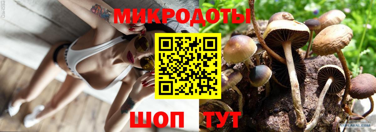 Галлюциногенные грибы мухоморы  Галлюциногенные грибы Psilocybe  Кузнецк  Вход с VPN 